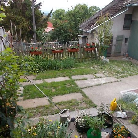 U Babicky A Jeji Psi Smecky Guest House Weselitschko Exterior foto