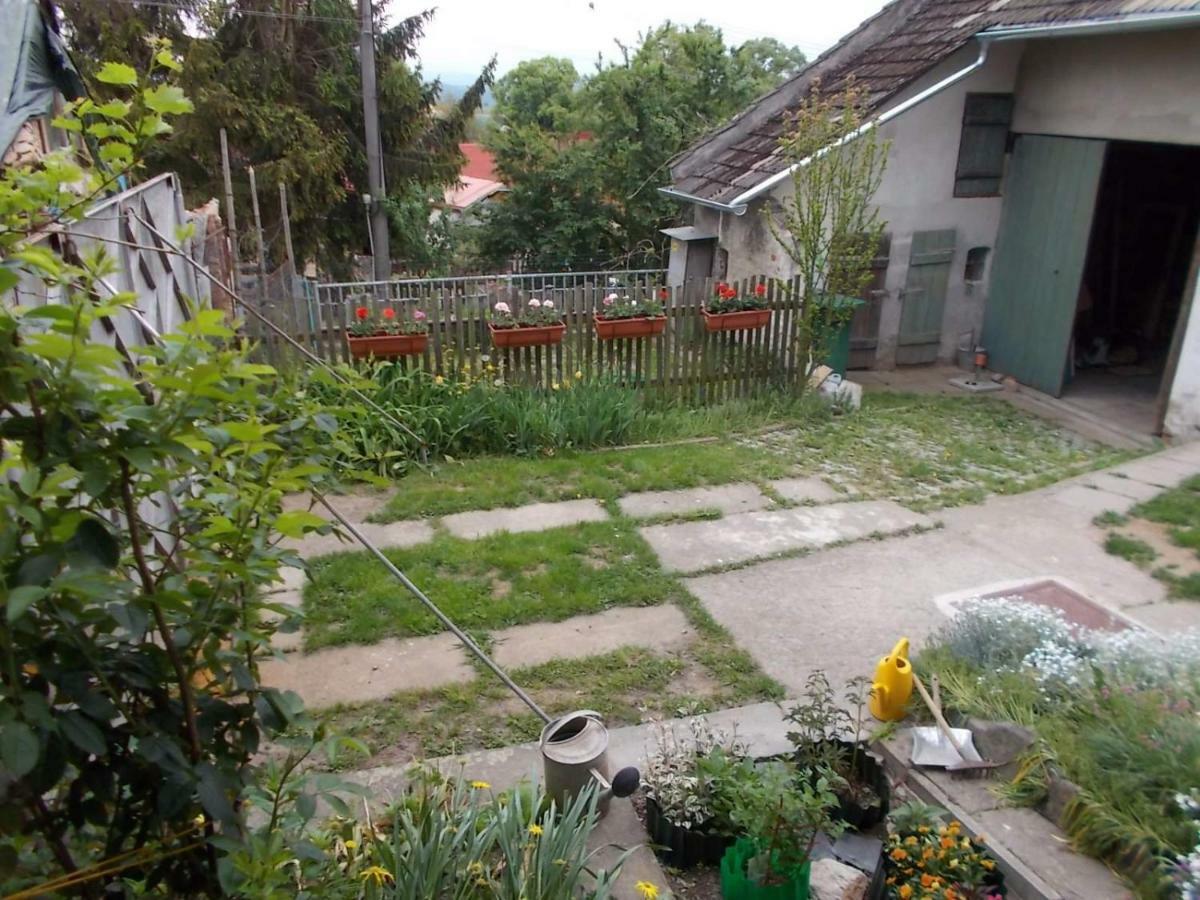 U Babicky A Jeji Psi Smecky Guest House Weselitschko Exterior foto
