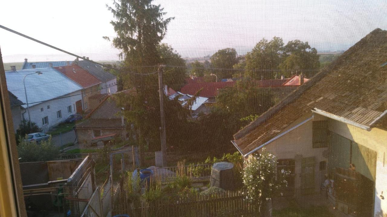 U Babicky A Jeji Psi Smecky Guest House Weselitschko Exterior foto
